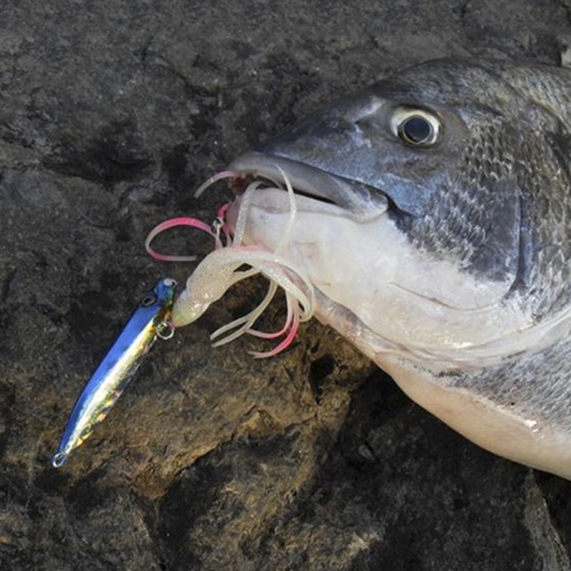 OBSESSION J25 Inchiku Squid Lu - Jig Head Lure のレビューと価格