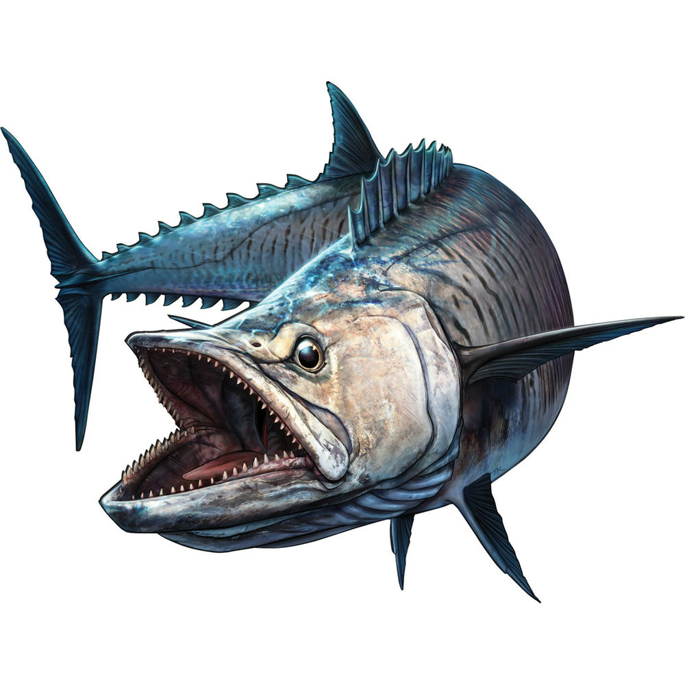 Shark Fish Fishing Boat Rod Bu - Bass Fishing Lure のレビューと価格
