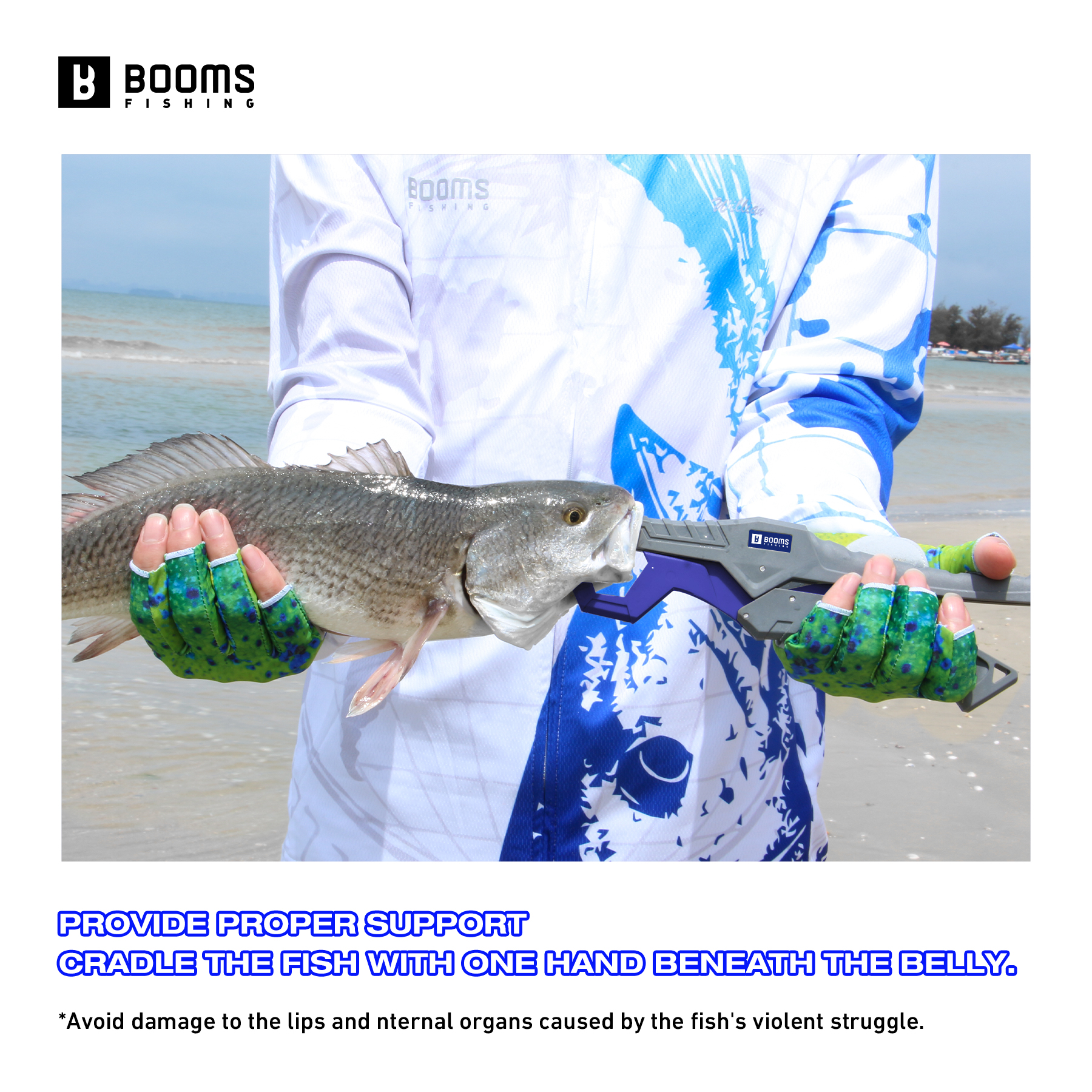 Booms Fishing 23cm Pliers and  - Fishing Equipment Hanger のレビューと価格